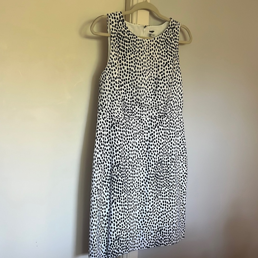 NWT J.Crew polka dot dress